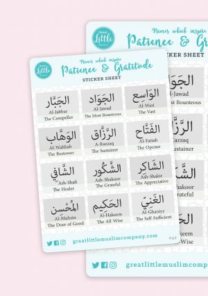 Names Allah which inspire Patience & Gratitude