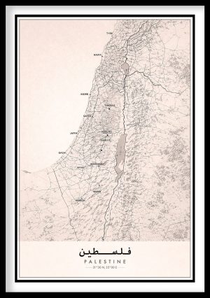 Vintage Palestine map